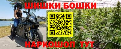индика Пушкино