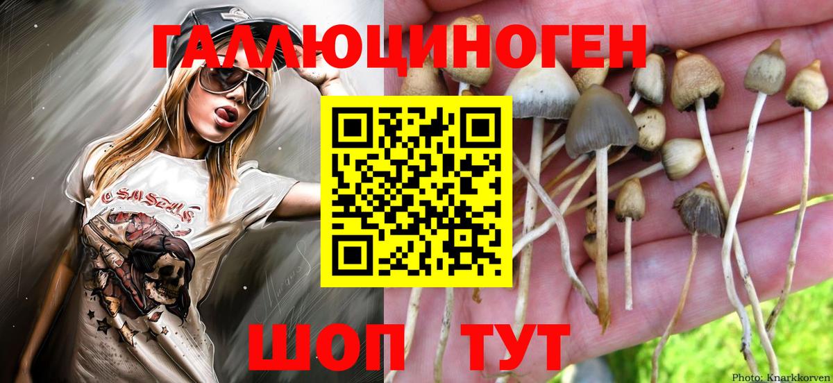 Первоуральск  наркошоп  Вход с VPN  Псилоцибиновые грибы MAGIC MUSHROOMS 