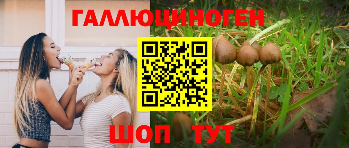 Галлюциногенные грибы MAGIC MUSHROOMS Первоуральск